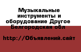 Музыкальные инструменты и оборудование Другое. Белгородская обл.